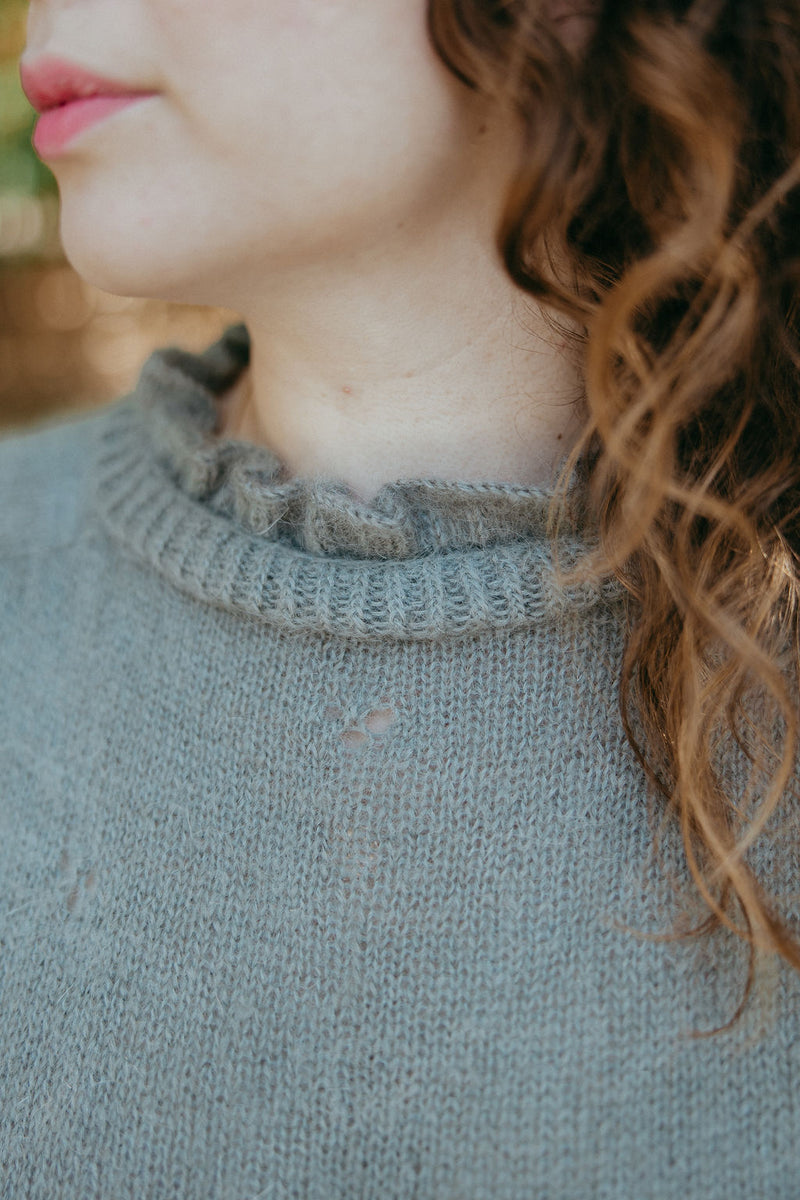 Pull Florentin