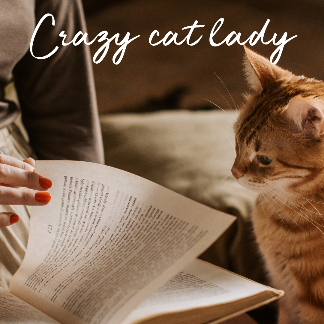 Coffret “Crazy cat lady"