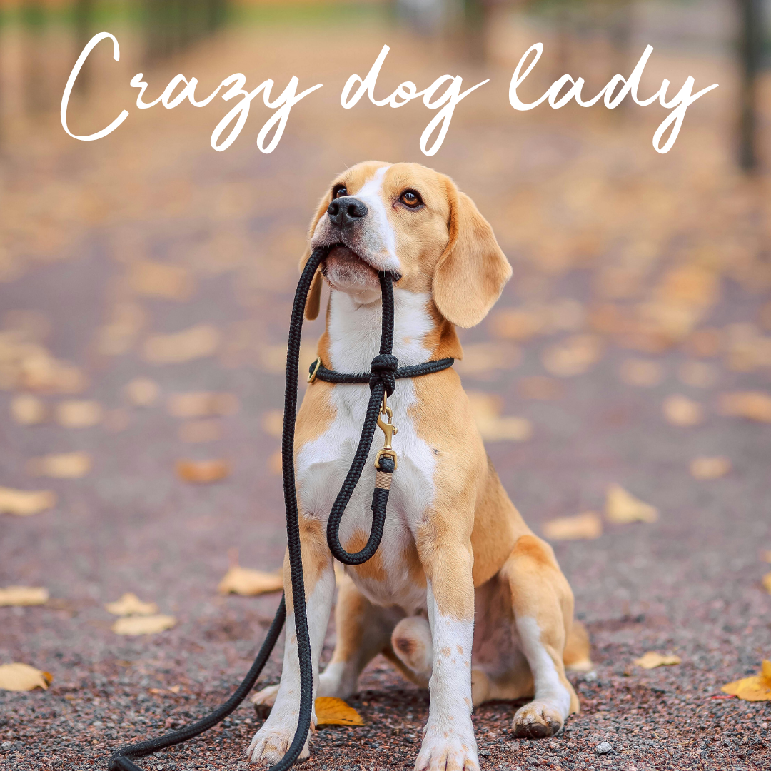 Coffret “Crazy dog lady"