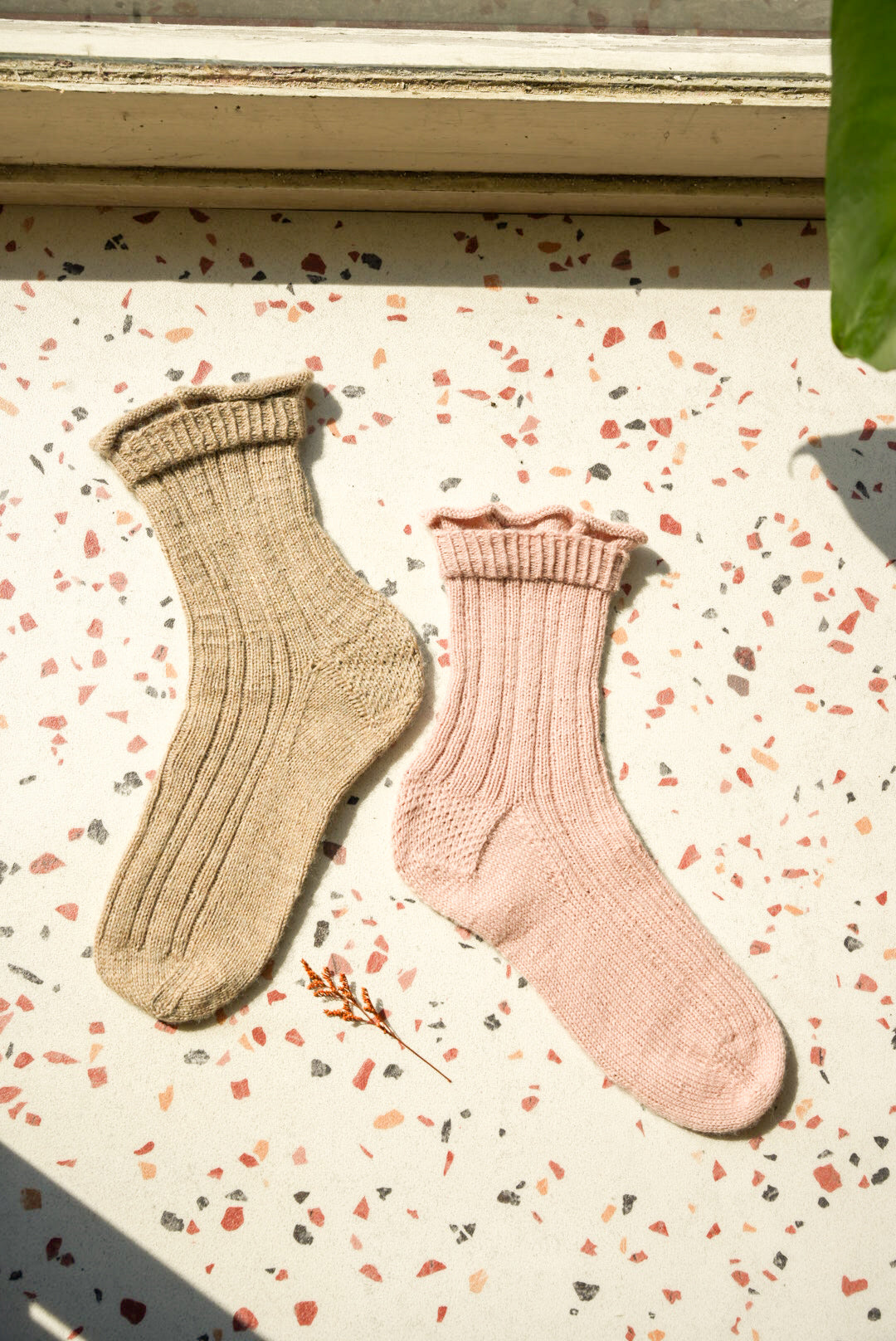 Chaussettes Chicorée