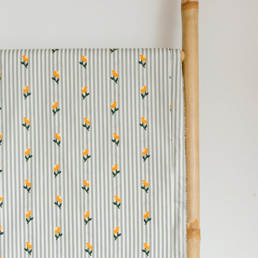 Daisy - Coton
