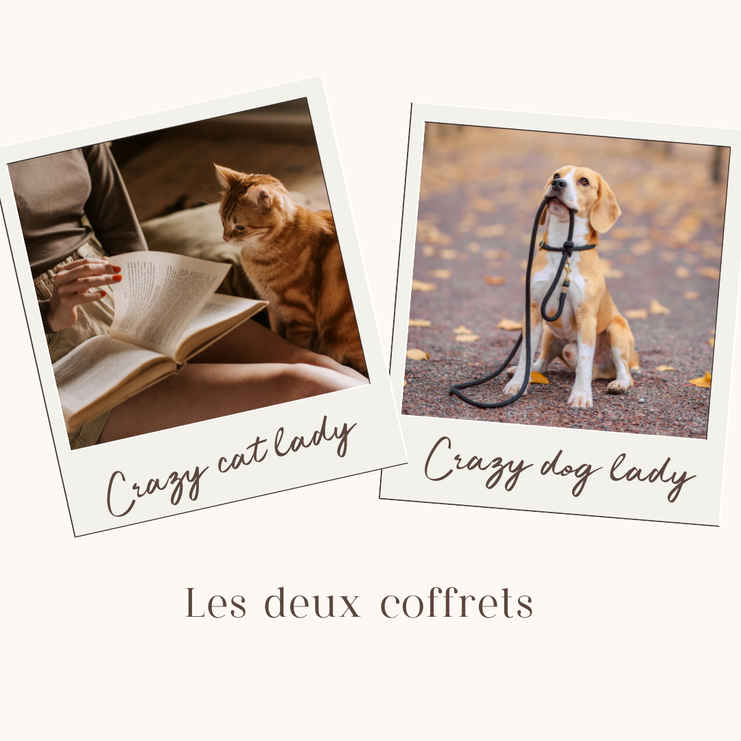 Coffret “Cats and dogs"